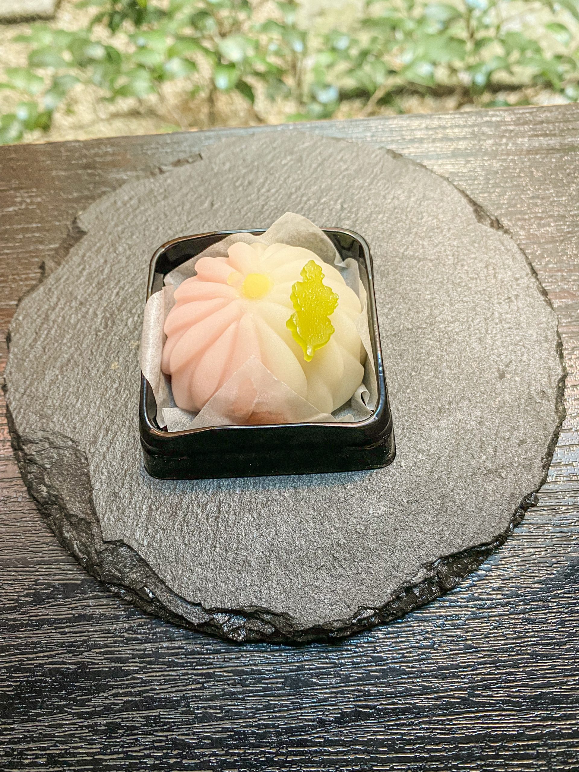 今月の上生菓子『寿菊』